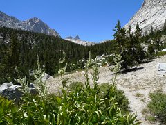 MineralKingLoop 187
